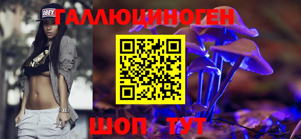 Истра  Галлюциногенные грибы GOLDEN TEACHER  Галлюциногенные грибы Cubensis  Вход с VPN 