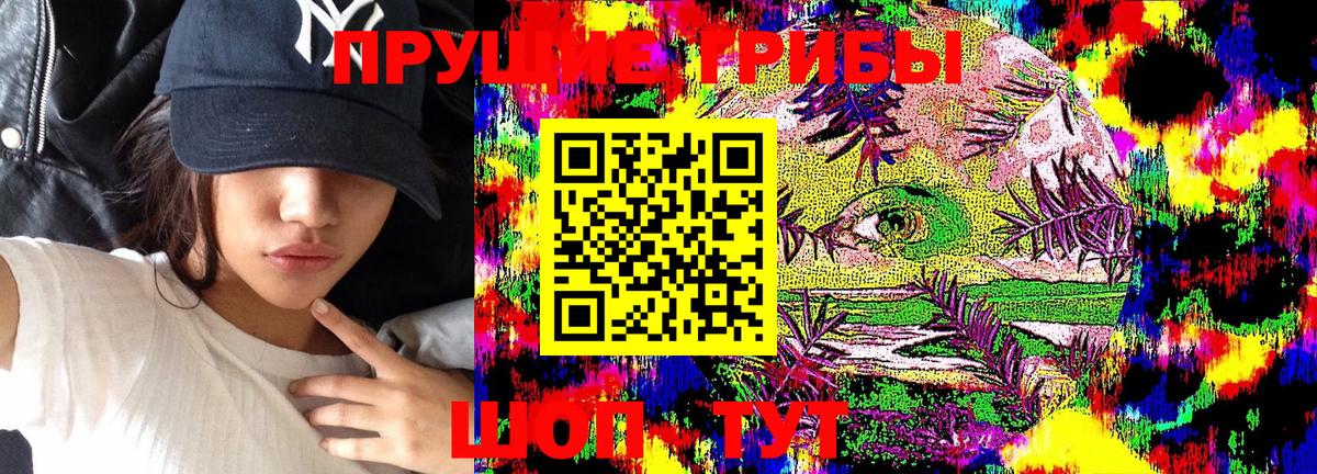 Псилоцибиновые грибы Psilocybine cubensis Истра
