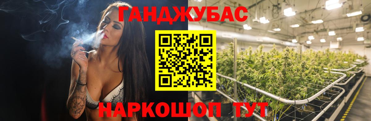 Истра  Конопля тримм  Вход с VPN  Бошки марихуана план  МАРИХУАНА White Widow  Канабис Bruce Banner 